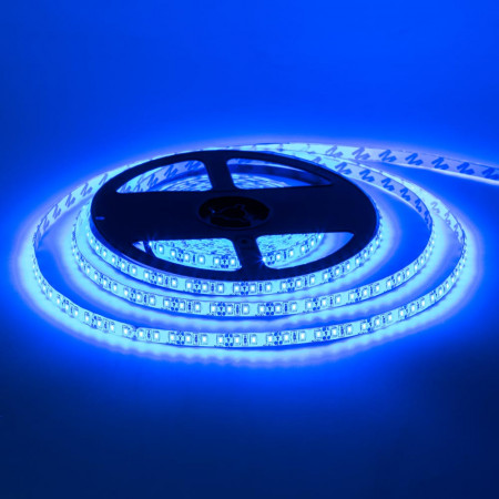 Світлодіодна стрічка 12В синя 120led/m IP65 smd2835, 1м