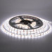 Світлодіодна стрічка 12В біла 120led/m smd2835 IP65, 1м