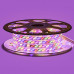 Світлодіодна стрічка Multi-Color 220В 180led/m smd2835 10W/m IP65, 1м