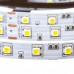 Світлодіодна стрічка 12В біла 60led/m smd4040 IP20, 1м
